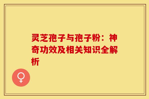 灵芝孢子与孢子粉：神奇功效及相关知识全解析
