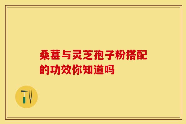桑葚与灵芝孢子粉搭配的功效你知道吗